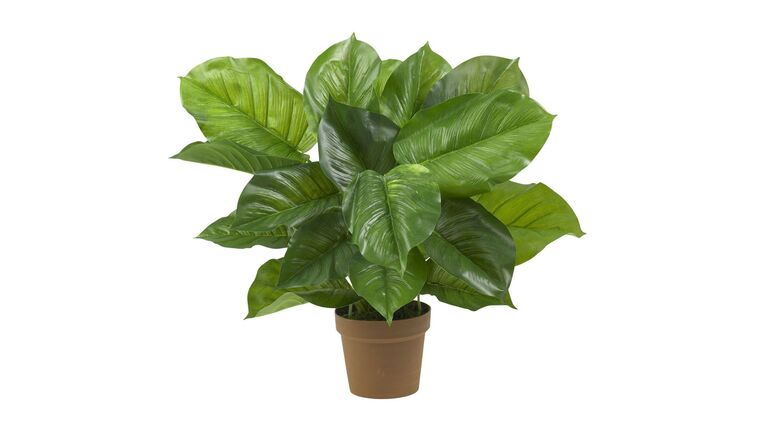 Large Leaf Philodendron Silk Plant (Real Touch) | Rental Large Leaf Philodendron Silk Plant (Real Touch) | Rental