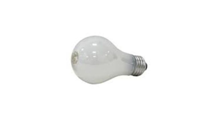 38W - 120V - Soft White Incandescent Light Bulb | Rental