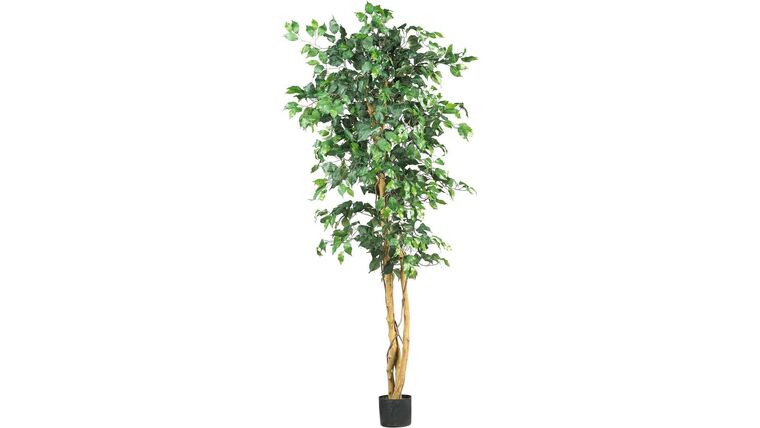 6′ Ficus Tree – Artificial | Rental 6′ Ficus Tree – Artificial | Rental