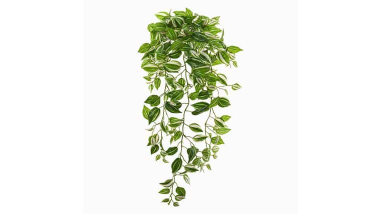32” Wandering Jew Hanging Artificial Plant | Rental