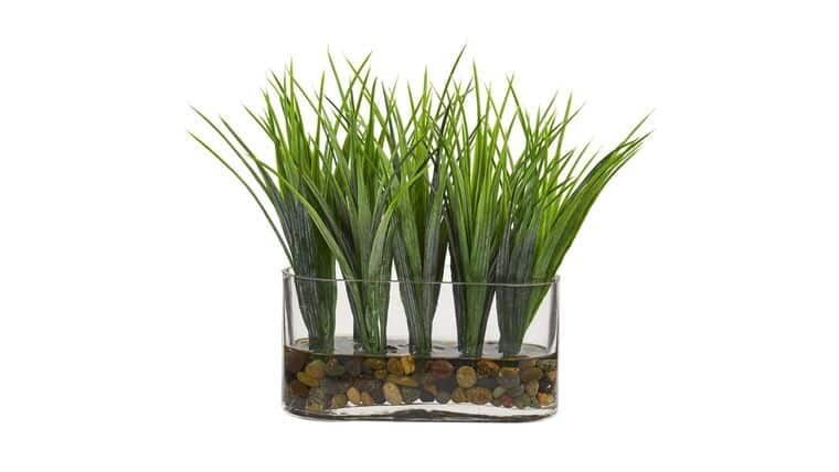 Vanilla Grass Artificial Plant in Oval Vase | Rental