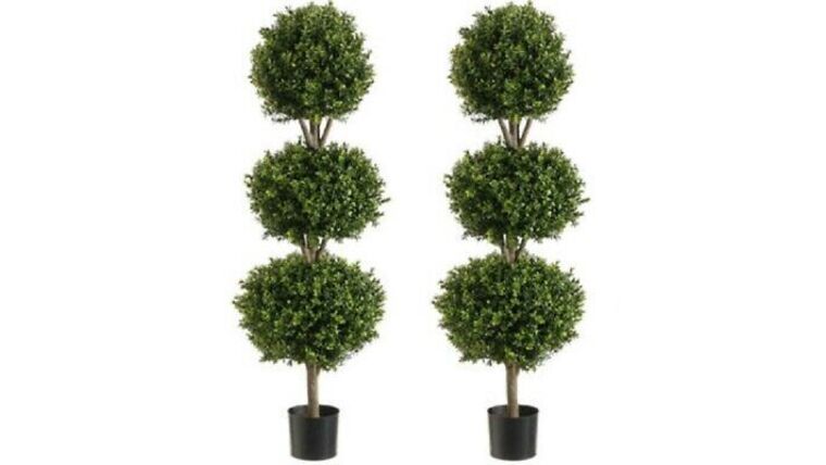 6’3″ Topiary Ivy 3 Ball w/Light | Rental 6’3″ Topiary Ivy 3 Ball w/Light | Rental