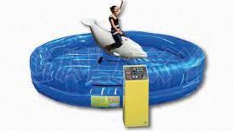 Mechanical Rodeo Dolphin Ride | Rental