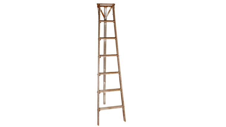 Ladder Natural Fruit Picking – 7′ | Rental