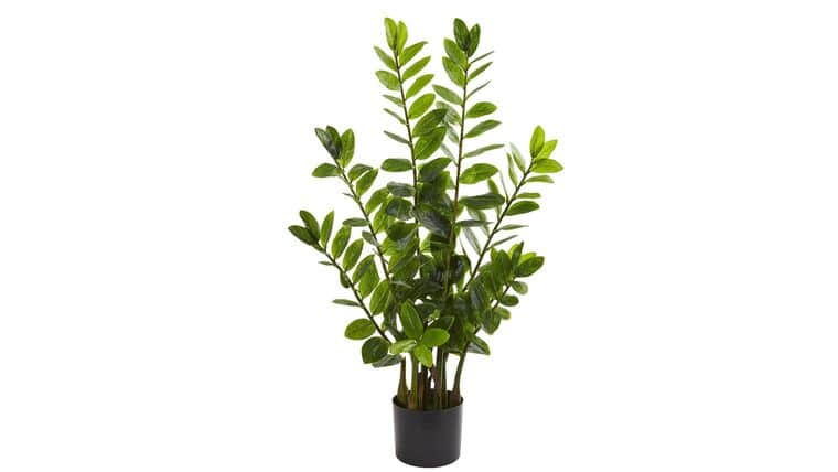 3’ Zamioculcas Artificial Plant | Rental