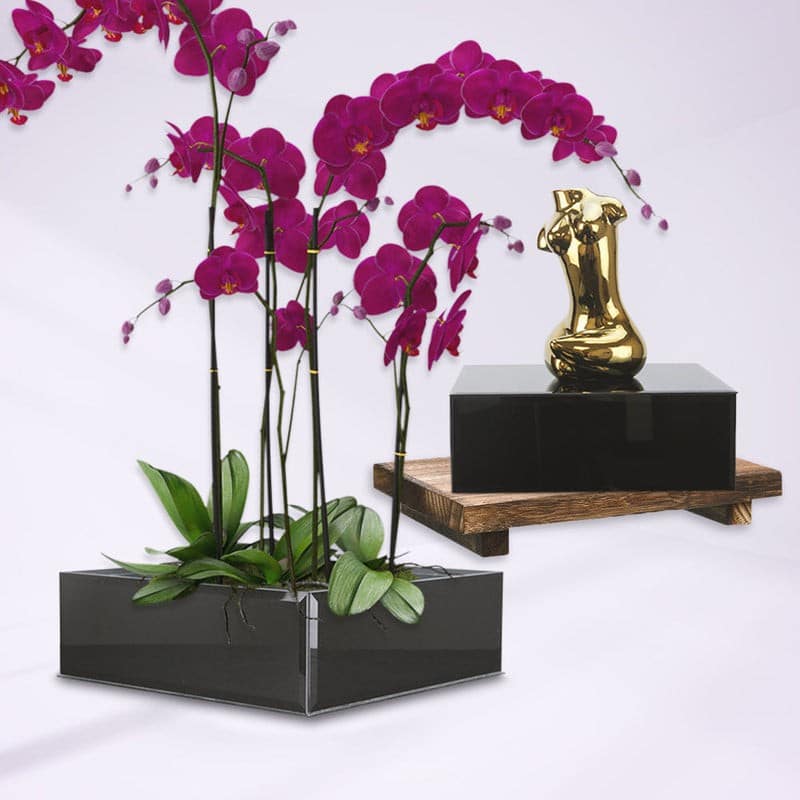 Galaxy Black Glass Floral Aquarium Square | Rental