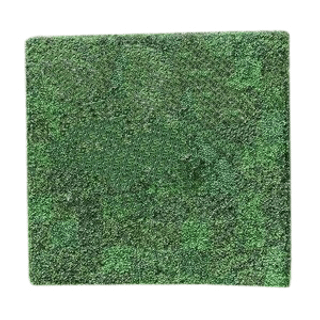 Boxwood Backdrop – 8′ x 8′ | Rental