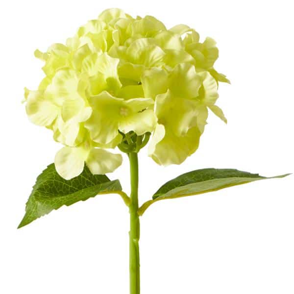 Decostar™ Artificial Hydrangea Stem - 14" Apple Green | Rental