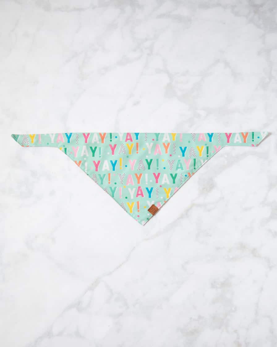 Foggy Dog - Birthday Yay Aqua Dog Bandana (Reversible) | Purchase