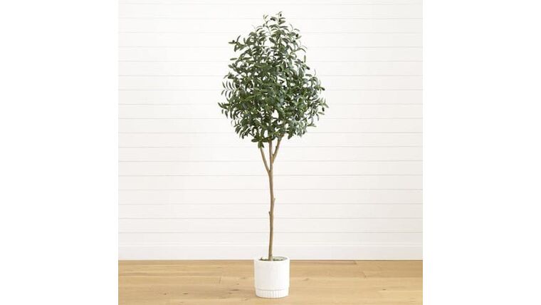 6’ Artificial Olive Tree with White Decorative Planter | Rental